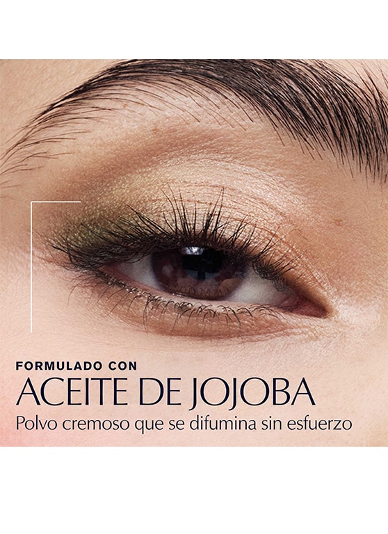The Essential Eyeshadow Quad