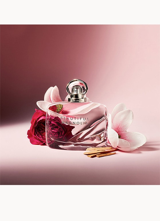 Beautiful Magnolia Holiday Trio