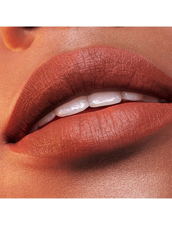 Pure Color Whipped Matte Lip Color