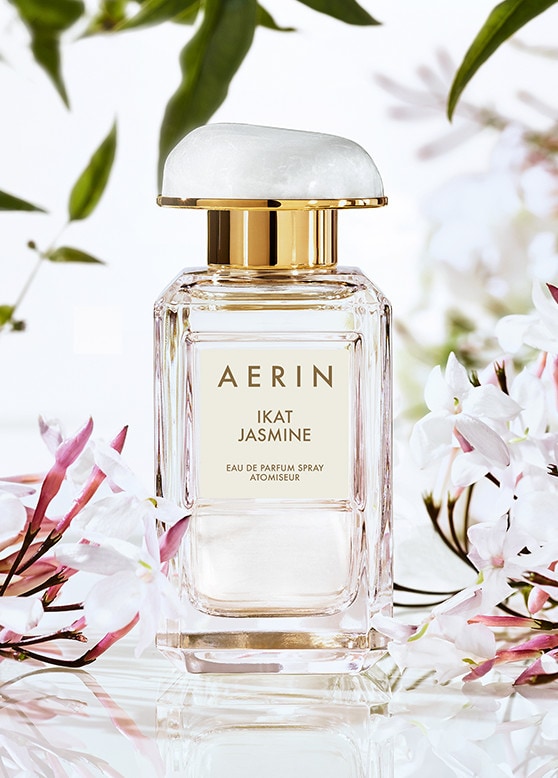 AERIN Ikat Jasmine